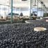 Marmarabirlik’ten çiftçiye 110 milyon TL Marmarabirlik’ten çiftçiye 110 milyon TL