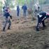 Zonguldak’ta 250 kök hintkeneviri ele geçirildi