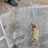 Su kanalına düşen tilkinin imdadına itfaiye yetişti Su kanalına düşen tilkinin imdadına itfaiye yetişti