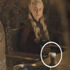 Game of Thrones hayranlarından imza kampanyası