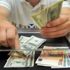Döviz hesapları 231 milyar doları aşarak rekor kırdı