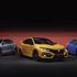 Civic Type R ailesi büyüyor