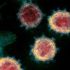 Covid 501.V2: Güney Afrika’da tespit edilen mutasyona uğramış koronavirüs türü hakkında neler biliniyor?