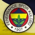 Fenerbahçe'de transfer sezonu hareketli geçecek Fenerbahçe'de transfer sezonu hareketli geçecek