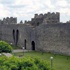 Diyarbakır Surları ve Hevsel Bahçeleri UNESCO Dünya Kültür Mirası listesine girdi