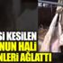 ﻿Annesi kesilen kuzunun hali görenleri ağlattı