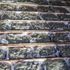Karnabahar tırında 1 milyon euroluk marihuana ele geçirildi Karnabahar tırında 1 milyon euroluk marihuana ele geçirildi