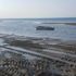 Yalova’daki deniz çekilmesinin sebebi belli oldu Yalova’daki deniz çekilmesinin sebebi belli oldu