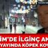 Aydın Doğan'ın sahibi olduğu Doğan Holding banka kuruyor