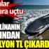 ﻿Ölü balinanın karnından 13 milyon TL çıkardılar