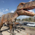 Bir dinozor haberi de Gaziantep'ten!