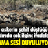 Dünya Borsalarında Öğle Saatlerinde Son Durum