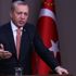 Erdoğan'ın Albayrak açıklamaları Elvan'ın yapacaklarının sınırlı olduğunu gösterdi