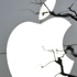 Apple iOS 9 ve yeni uygulamalarını tanıttı