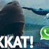 Whatsapp’tan gelen linke dikkat! Mavi Balina Oyunu…