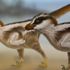 Güney Kore'de dünyanın en küçük dinozor ayak izleri bulundu
