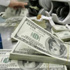 Dolarda yeni zirve