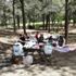 Yasağın kalkmasıyla vatandaşlar piknik alanlarına akın etti