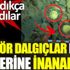 ﻿Amatör dalgıçlar daldı gözlerine inanamadı
