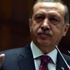 Erdoğan'dan izleme heyeti açıklaması: Ben bu olaya olumlu bakmıyorum