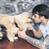 Baran İlgar sahiplendiği felçli köpeği 'Paşa'nın yürümesi için elinden geleni yapıyor