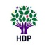 HDP’nin barajı aşmasını bu oylar sağladı.