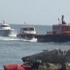 Marmara Denizi’nde can pazarı