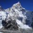 Koronavirüs nedeniyle Everest'e tırmanılmayacak